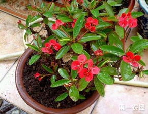 因素五：温度问题