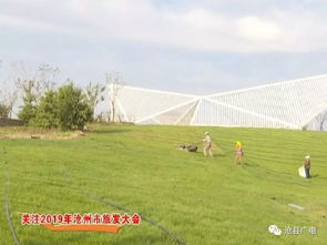 河北沧州的试种案例显示，转基因海蓬子使1500亩重盐碱地实现亩均收益1800元，比传统改良方式节省成本60%