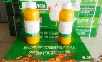 自制饲料发酵液配方和步骤，能否在家成功复制？