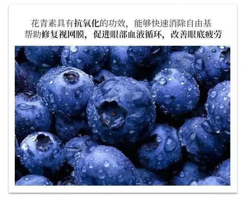 蓝莓里的花青素， 眼睛的守护者