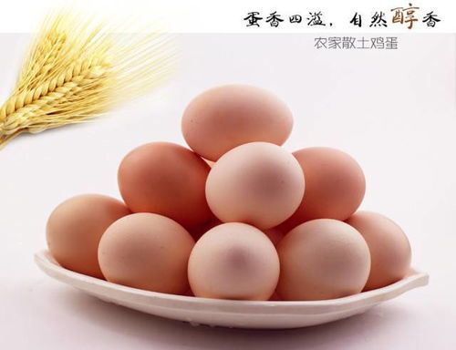 南京草鸡蛋，源自绿色生态养殖