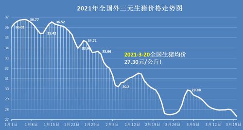 2026年猪价会涨到多少？最新行情预测能否透露一二？