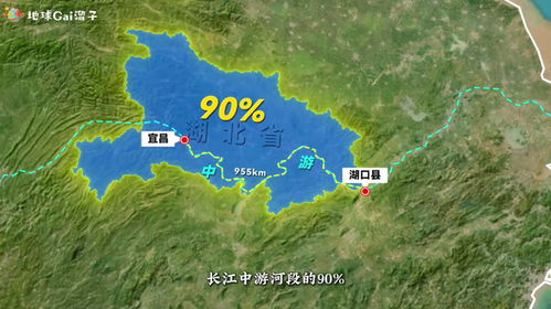 中国猕猴桃产地分布广泛，四川茂县品种有何独特之处