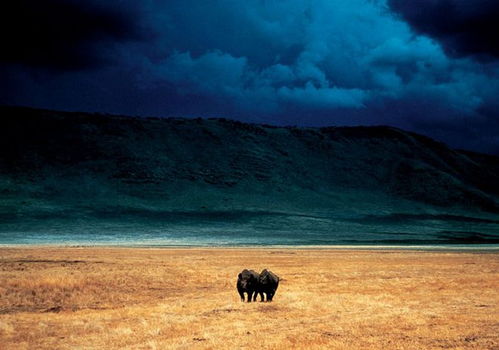 光线与构图：摄影的灵魂