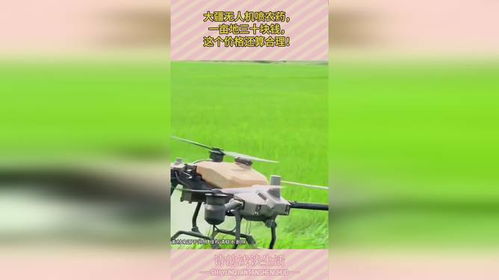 大疆喷农药无人机：价格揭秘与喷洒效率探讨
