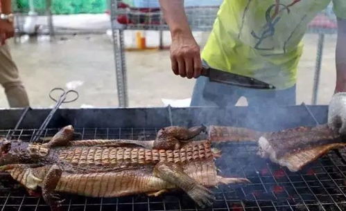 烤鳄鱼事件：描述一起因食用鳄鱼肉引发的食物中毒事件