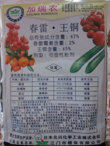 注意事项：避免误区，平安使用