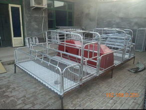 猪分娩床：多种类型