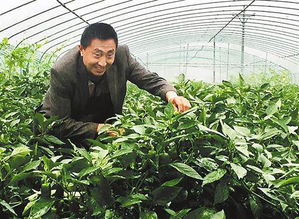 水上种菜的秘密武器