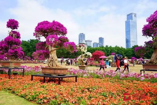 北方的小伙伴， 这些植物你们肯定认识