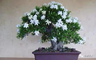 温度问题：冬季室温过高