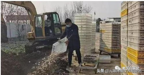 价格查询， 别被蒙蔽了双眼