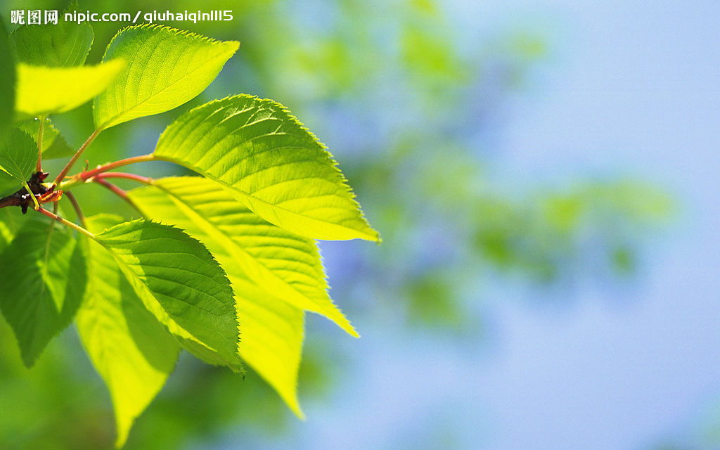 爬墙运动的益处