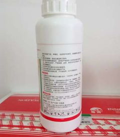 柑橘树病虫害防治，高效杀虫剂大揭秘！