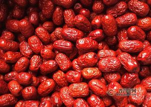 红枣种植与农药使用