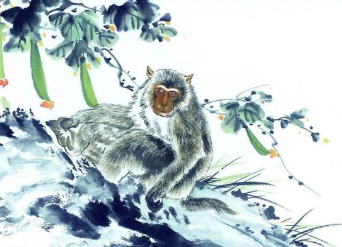 红杏人属猴，揭秘生肖猴与红杏的神秘联系