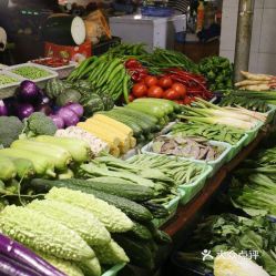 适合背阴地方的蔬菜和花卉