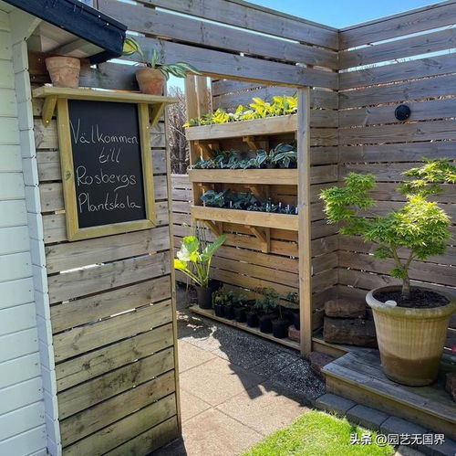 地被植物的应用