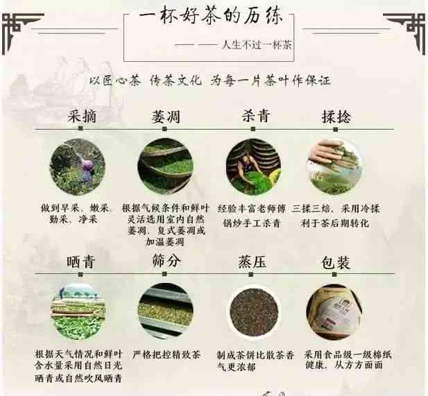 茶油异味问题：安全食用指南，确保茶叶品质