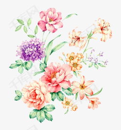 牡丹花图片素描，免费高清素材网站有哪些