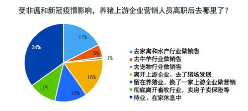 饲料动保业中，如何确保兽药饲料的安全性和有效性？