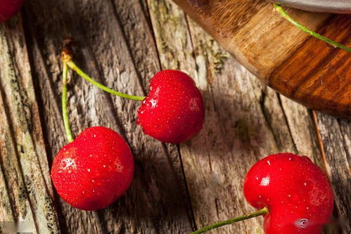 樱桃种子适合低温催芽，高温不出