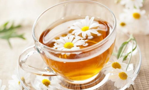 黄芪菊花茶泡水，喝出健康