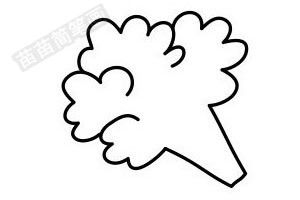 松树的线条魅力