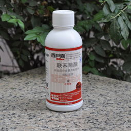 寻找那抹绿色杀手：地面永久灭草的药剂攻略