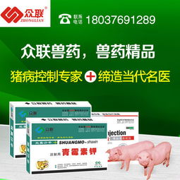 狗用氟苯尼考注射流程不对多花3000元，如何正确操作避免错误？