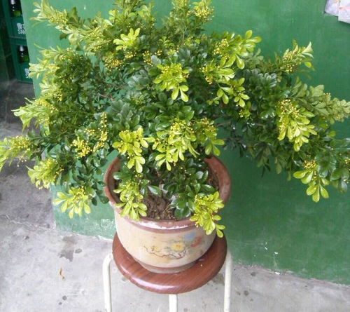 卧室：安静舒适， 放松身心