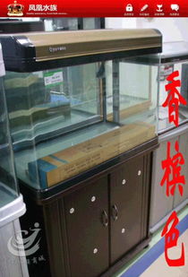 底滤鱼缸哪个品牌质量好？求推荐性价比高的底滤鱼缸品牌！