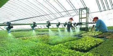农业灌溉：揭秘循环水系统的五大类型及其优势！