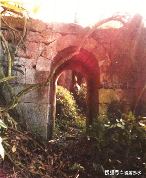 “幽深古木，谁曾探秘
