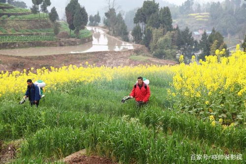 下雨时间长短的影响