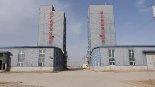 喀什地区哪家饲料代加工和定制料厂质量最好？