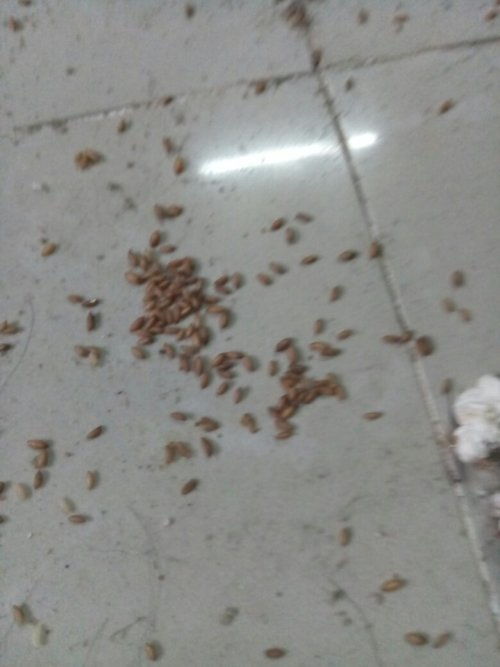 复合农药：多重功效的神奇农药