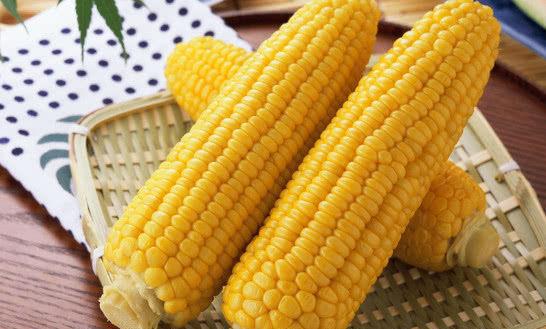 鲁星702玉米品种耐高温性能如何