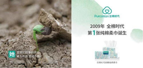 棉花生长的考虑