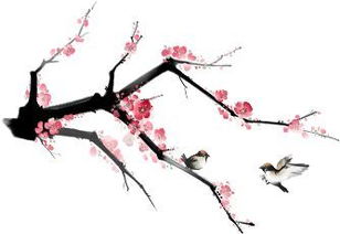 梅花象征吉祥，为何历久弥新