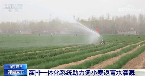 揭秘农业灌溉：高效水循环系统如何助力丰收