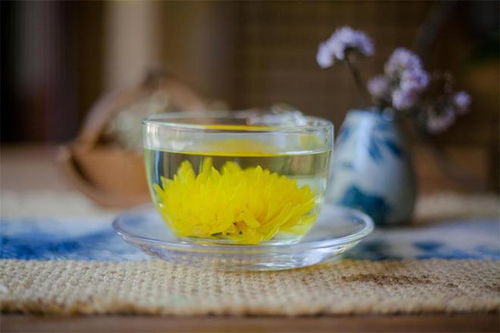 菊花茶为什么会变绿？如何避免变色