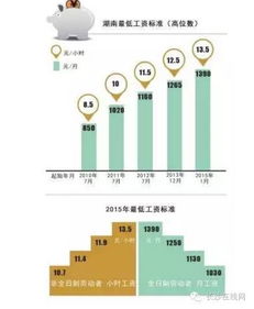 湖南椪柑产业效益低，需提升产业竞争力
