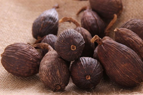 草果，一种热带香料植物