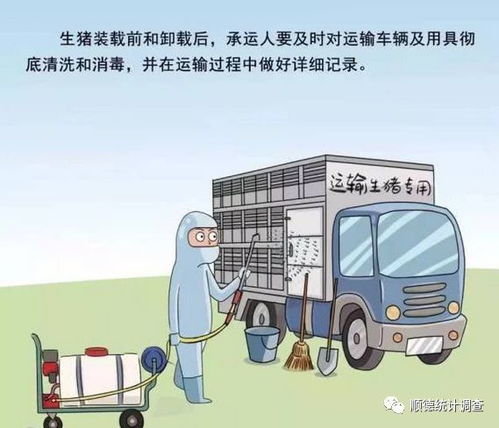 《非瘟常态防控技术指南》：生猪运输车辆清洗消毒技术要点