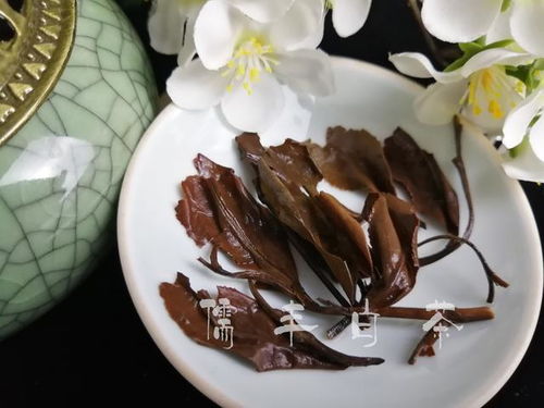 如何辨别鱼粉真假？新手如何避免购买到劣质鱼粉？