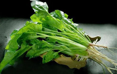 鸡毛菜，又称小白菜