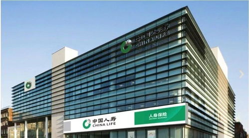 乱七八糟的信息