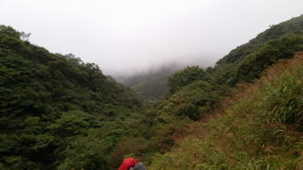 有山有水的地儿，种啥菜Zui合适？