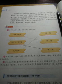 探寻高产量易管理草本作物：种植好伙伴